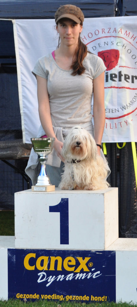 Gioia 1e plaats Agility beginners