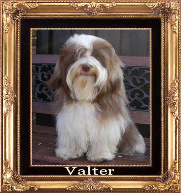 Valter