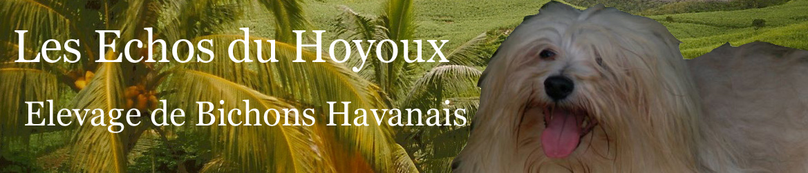 Les Echos du Hoyoux